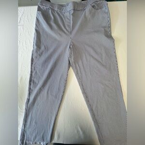 Alfred Dunner Blue and White Dress Pants Classic Straight-Leg